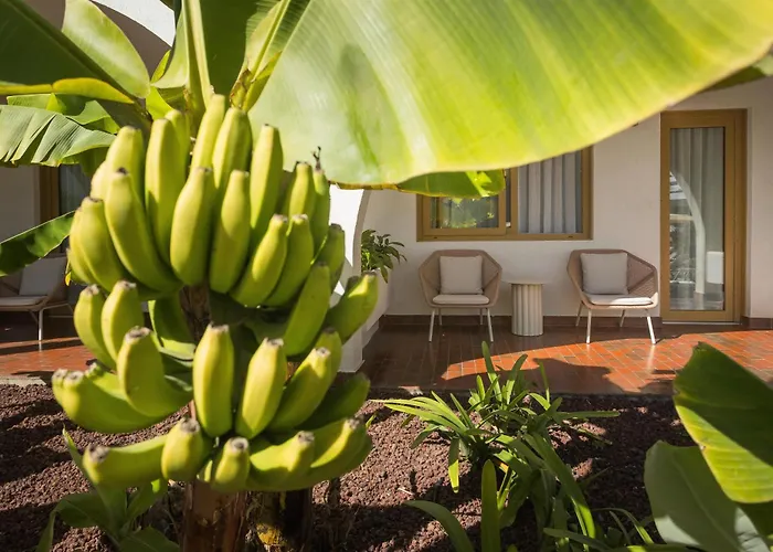 Radisson & Residences Tenerife - Adults Only 5*